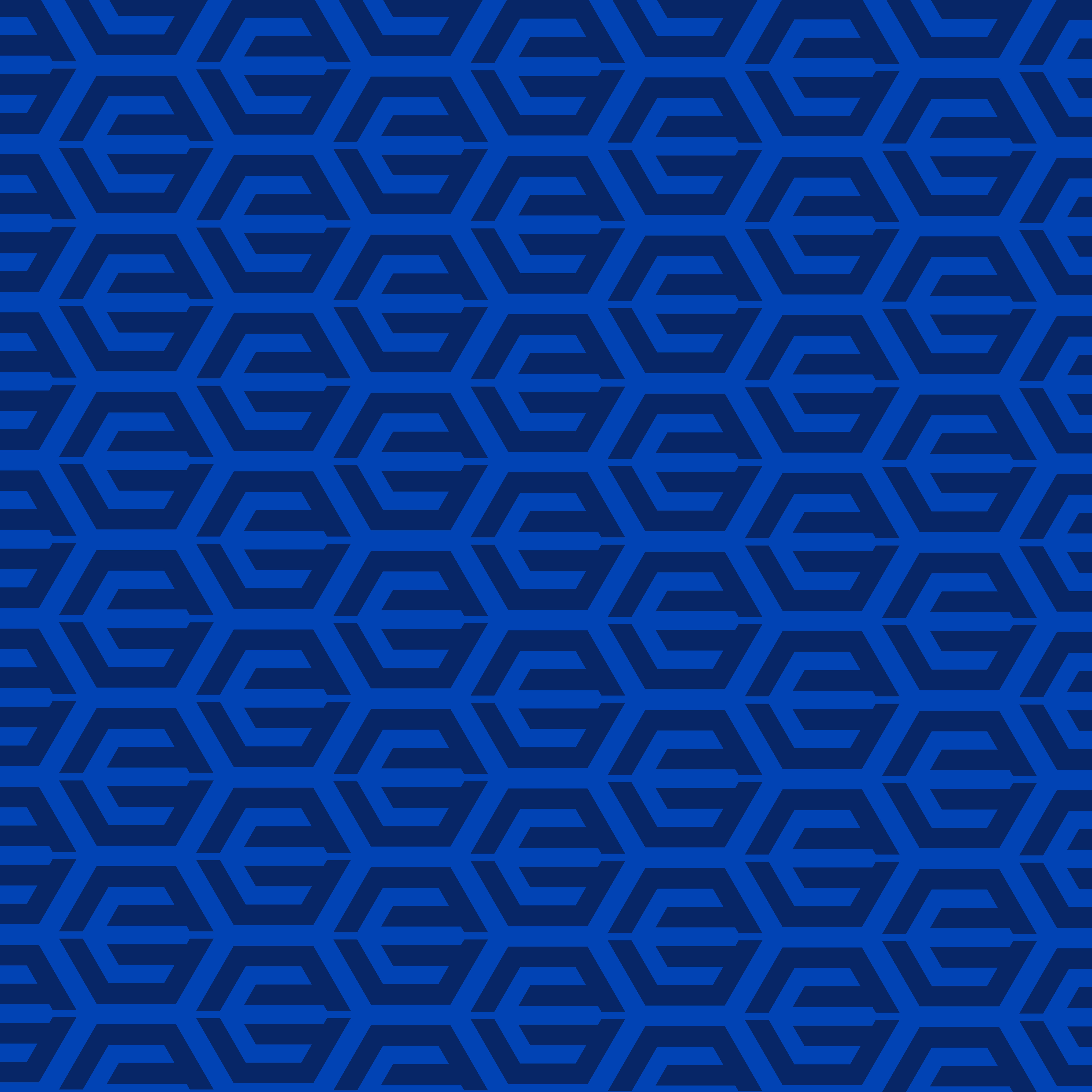 AAPI Brand pattern developed for a social impact organization in California