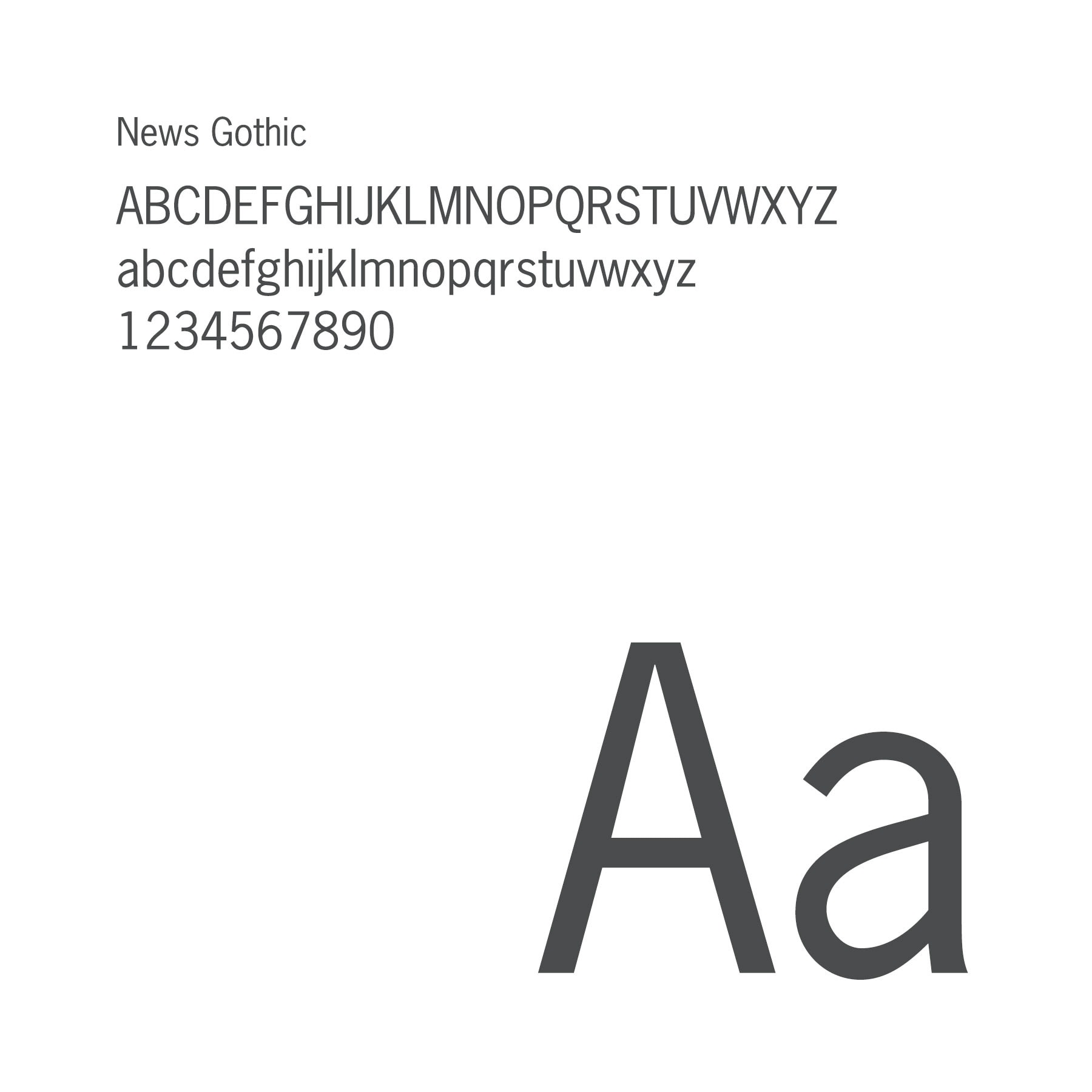 Fund for Shared Insight brand design typeface