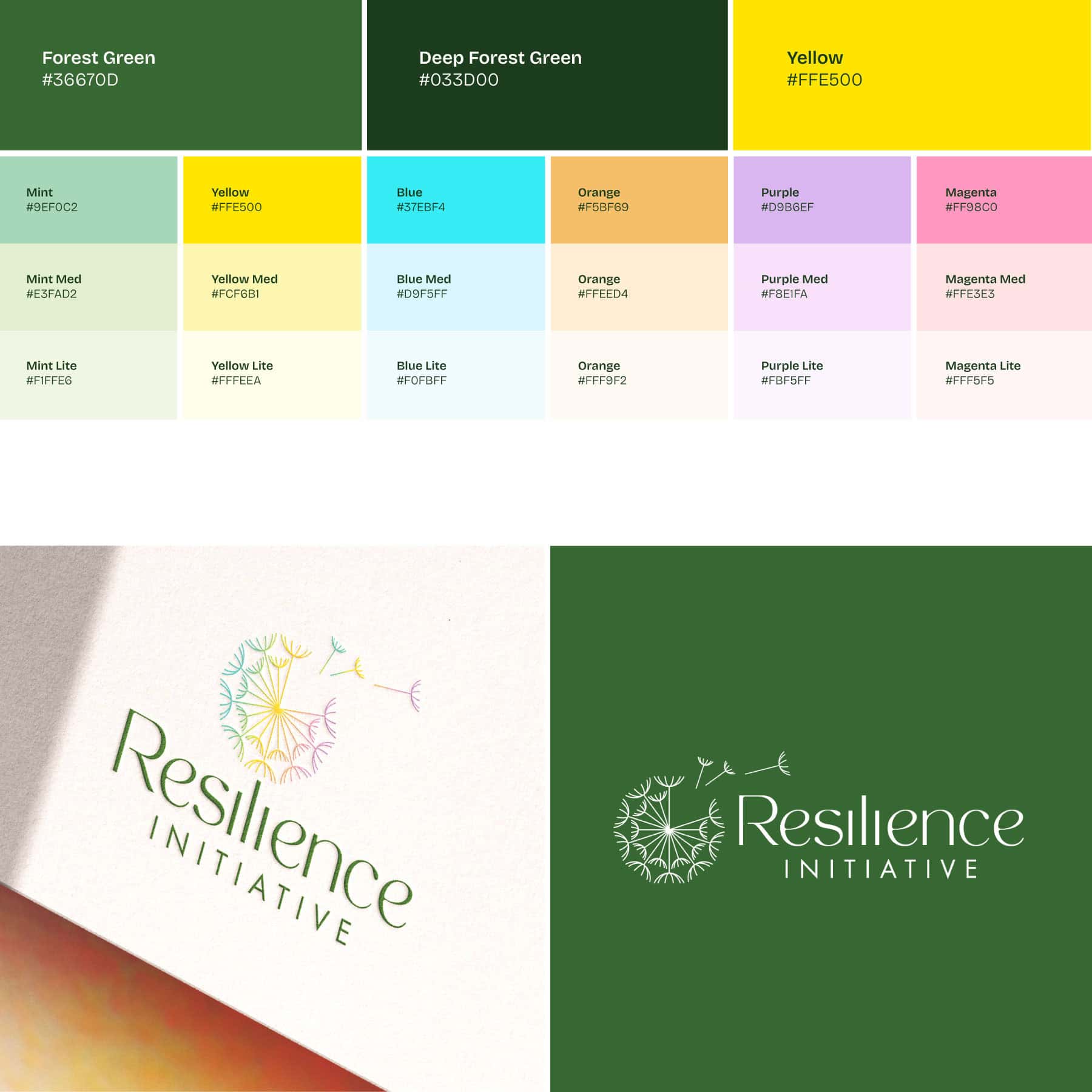 Resilience Initiative color palette and logos